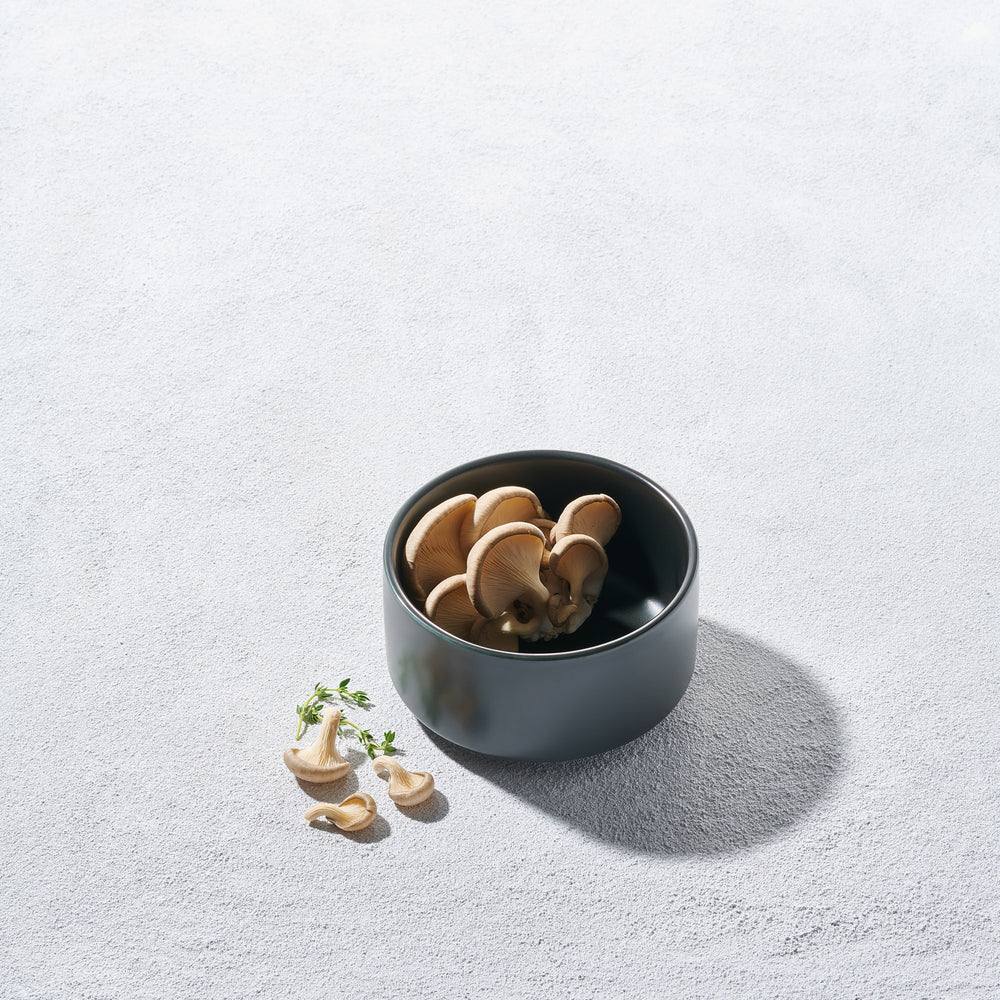 Vikko - Bolt, Round Modern Soup Bowl, Matte Black, 22 oz