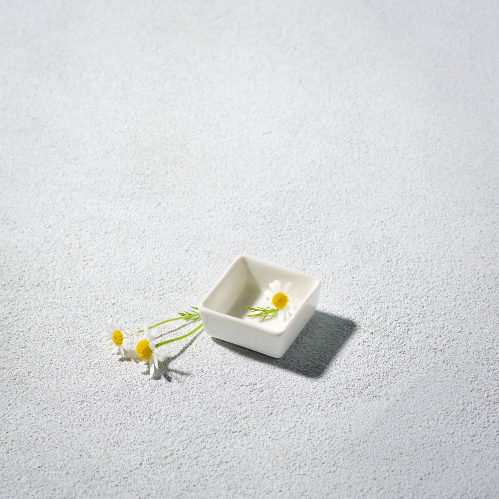 Vikko - Lightning, Mini Square Dish, White, 1.6"