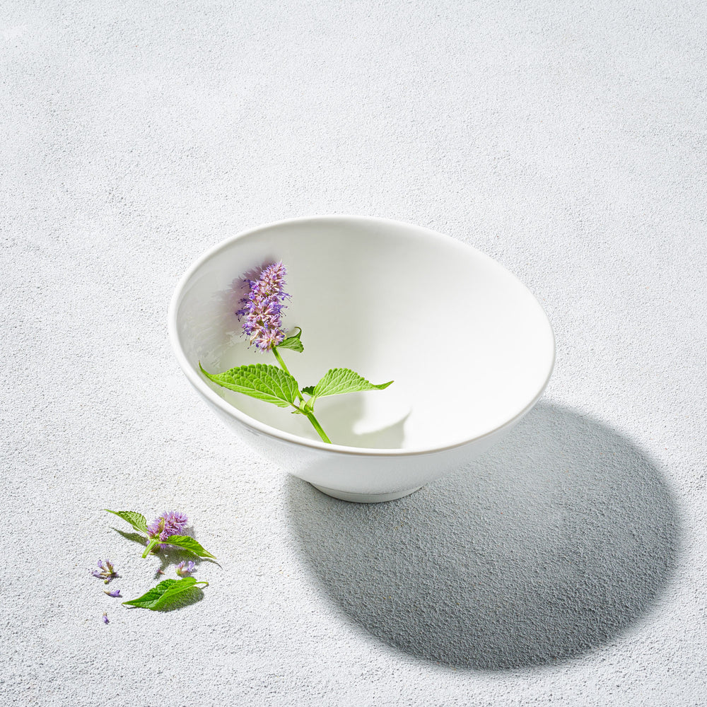 Vikko - Jersey, Slanted Deep Bowl, White, 24 oz