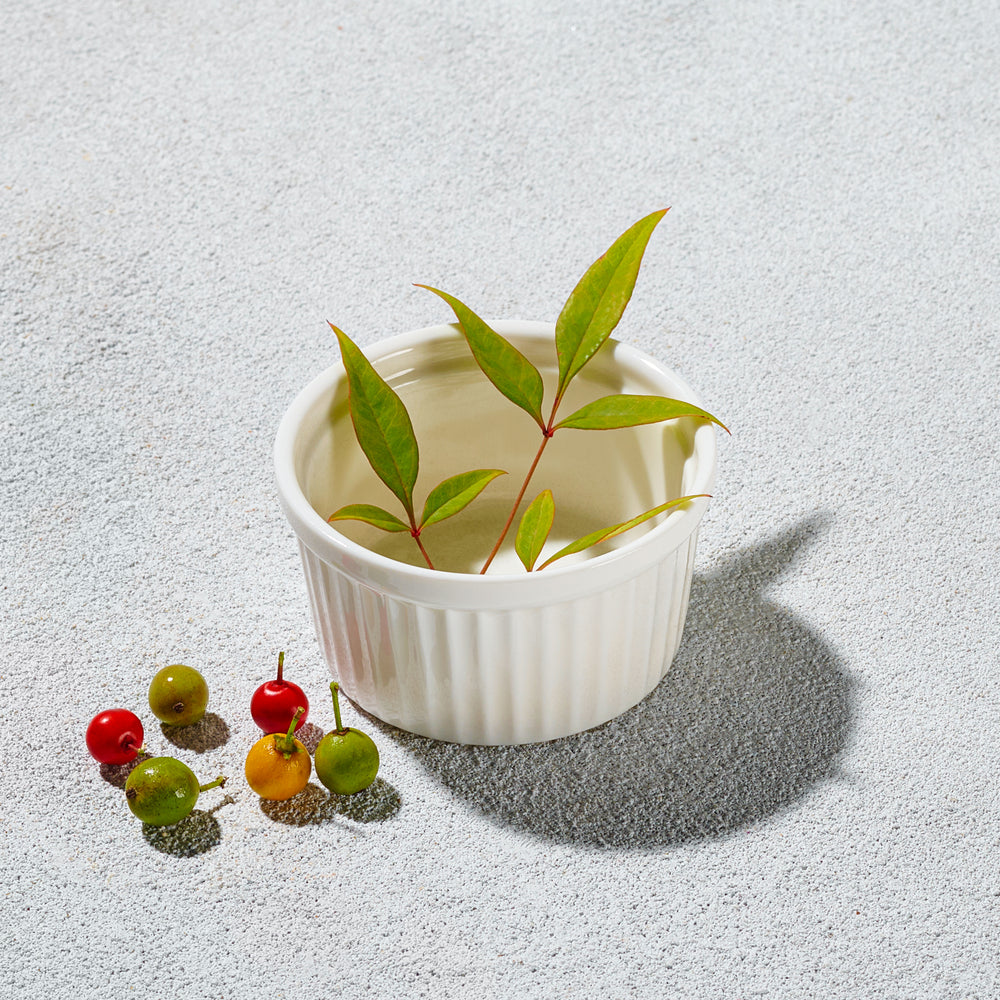 Vikko - Ramekin, White, 2 oz
