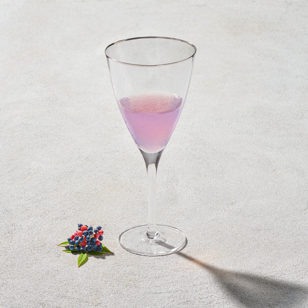 Vikko - Hammered, Wine Glass, Silver Rim, 13 oz