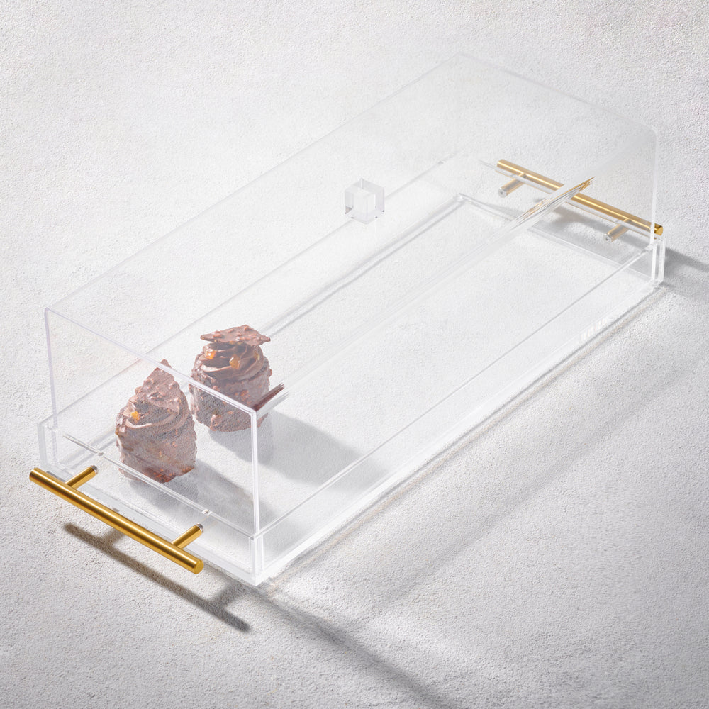 Vikko - Grace, Acrylic Tray and Dome Cover, Clear with Gold Handle, 17" x 7"
