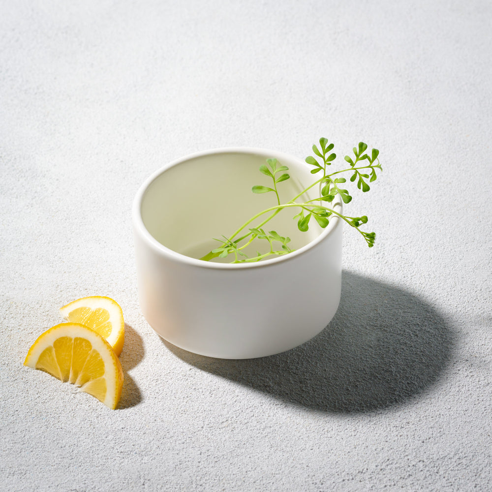 Vikko - Bolt, Round Modern Soup Bowl, Matte White, 14 oz