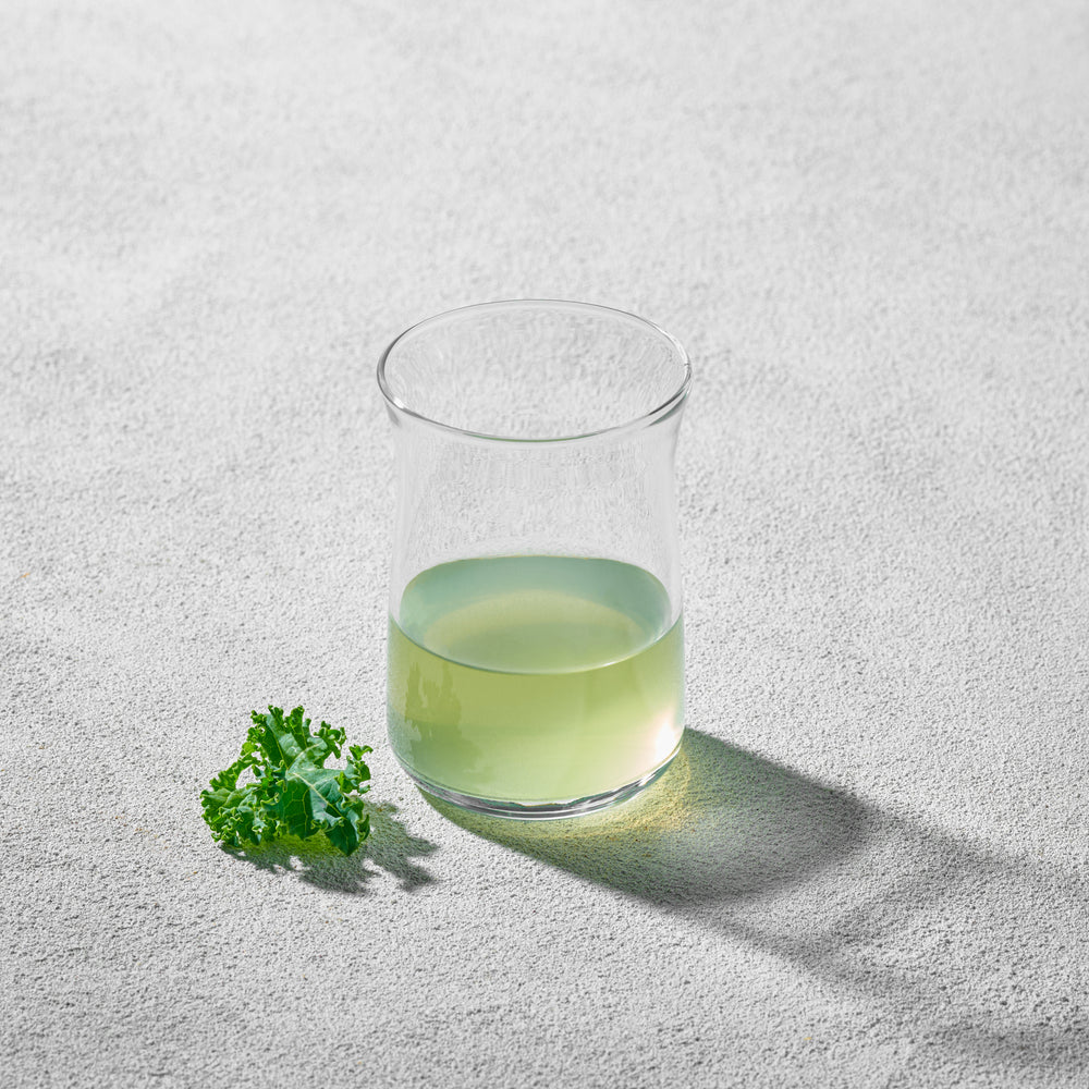 LAV - Vera, Highball Glass, 9.25 oz