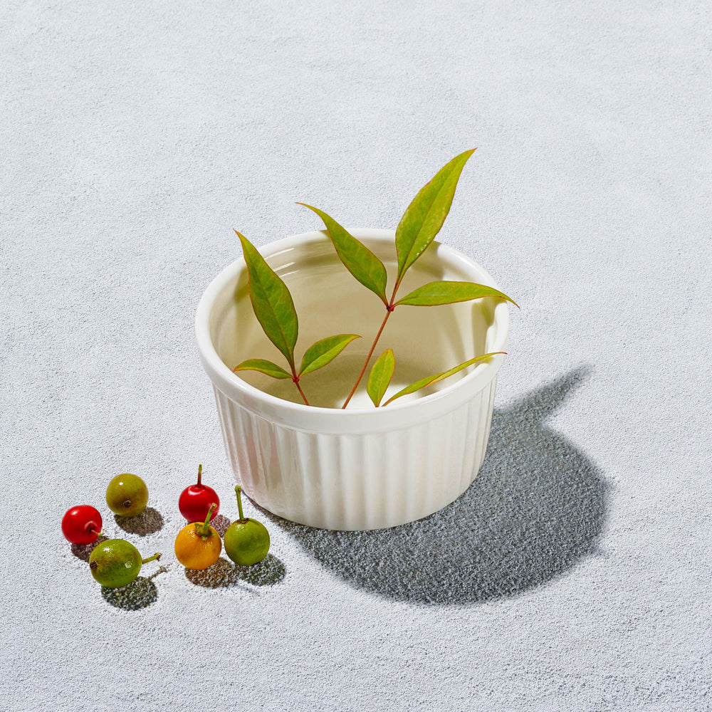Artika - Ramekin, White, 2 oz, 3 Pk
