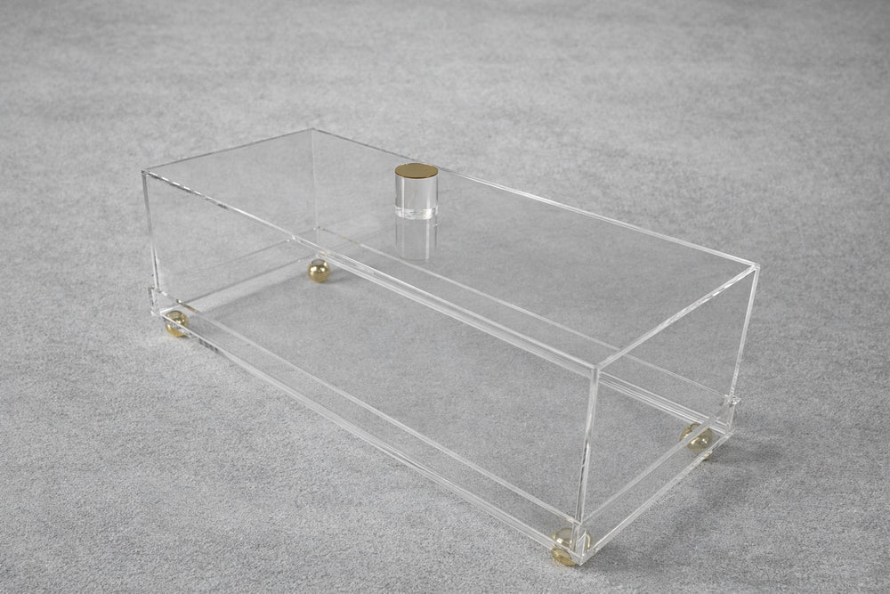 Vikko - Lume, Acrylic Rectangle Tray and Dome Cover, Gold Legs, 13.5" x 6"